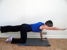 core exercises bird dog