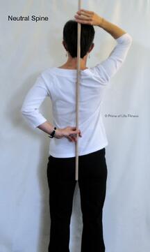 neutral spine rear