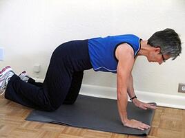 core exercise quadruped stabilization